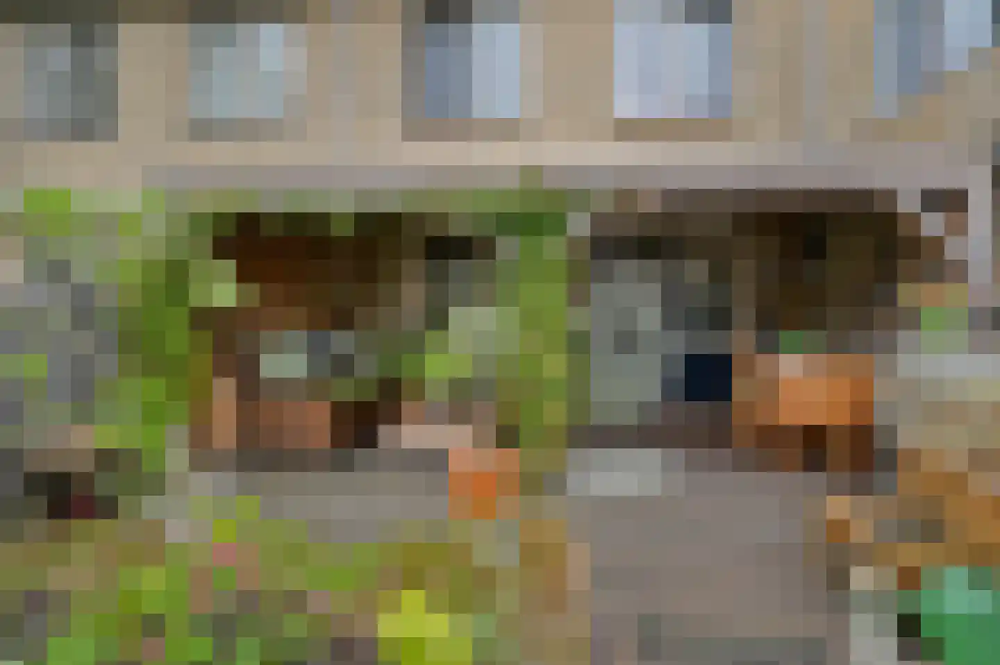 Eksterpad 3 Rijswijk thumbnail 23