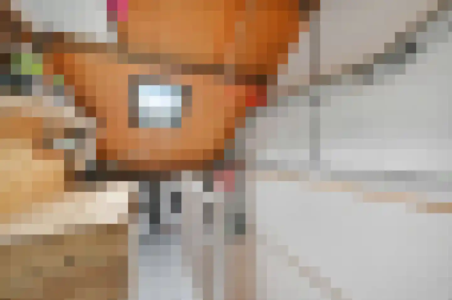 Eksterpad 3 Rijswijk thumbnail 36
