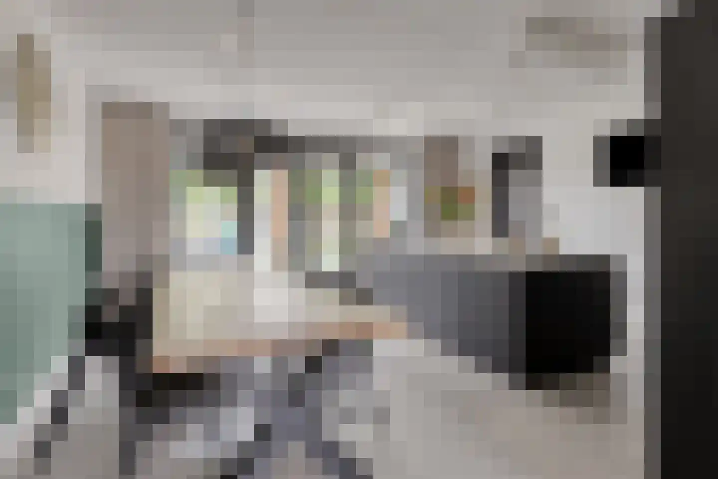 Ekstershoef 15 Schaijk thumbnail 19