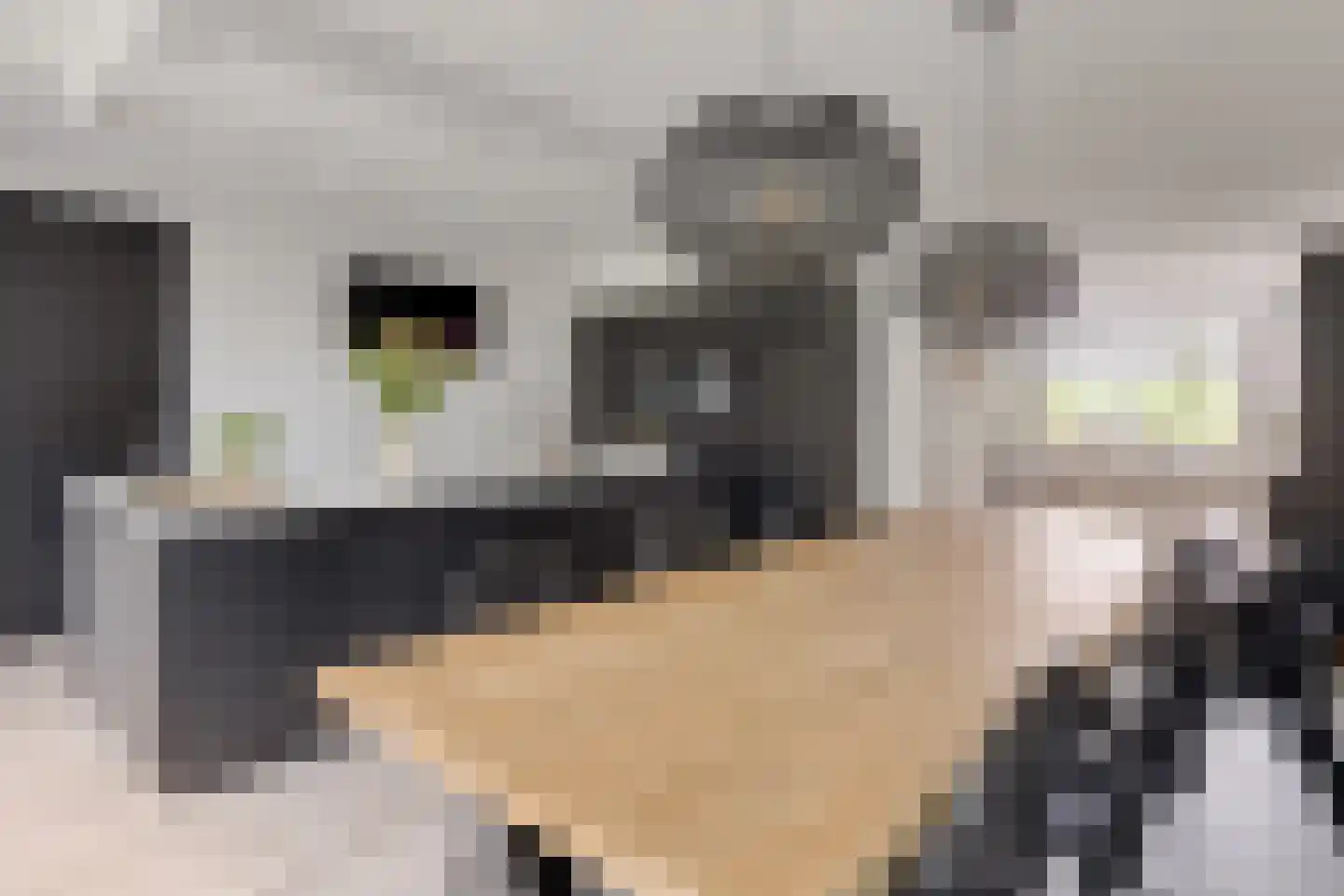 Ekstershoef 15 Schaijk thumbnail 21