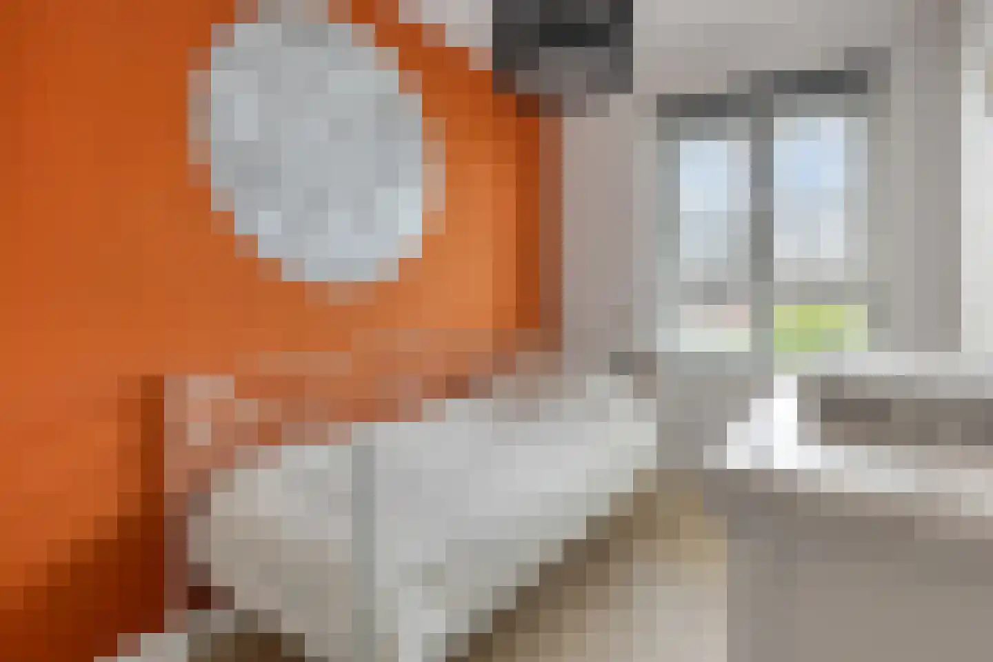 Ekstershoef 15 Schaijk thumbnail 32