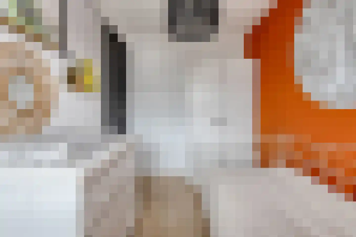 Ekstershoef 15 Schaijk thumbnail 33
