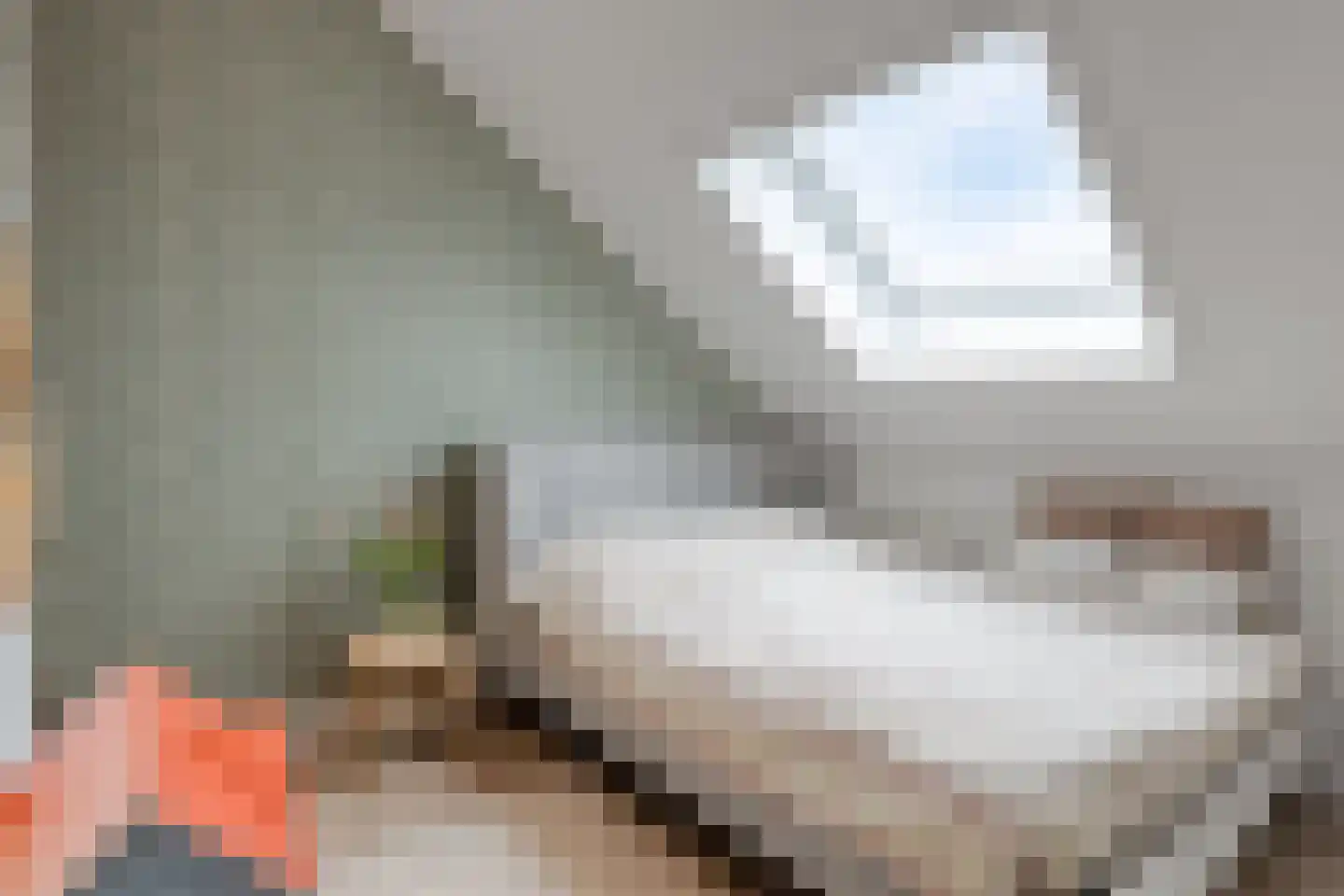 Ekstershoef 15 Schaijk thumbnail 42