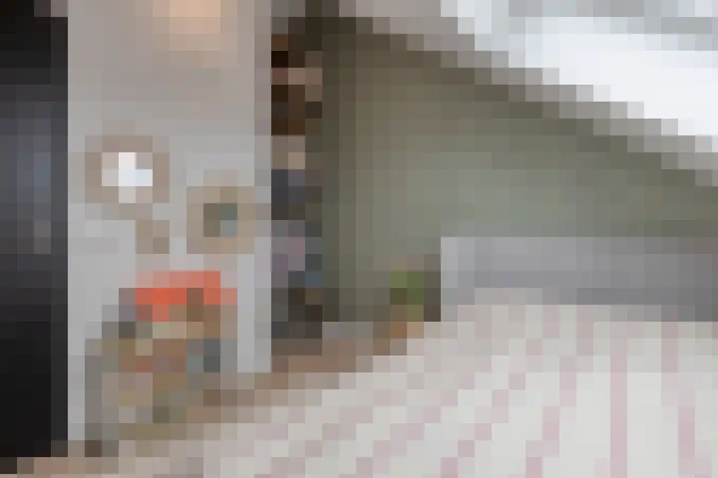 Ekstershoef 15 Schaijk thumbnail 43