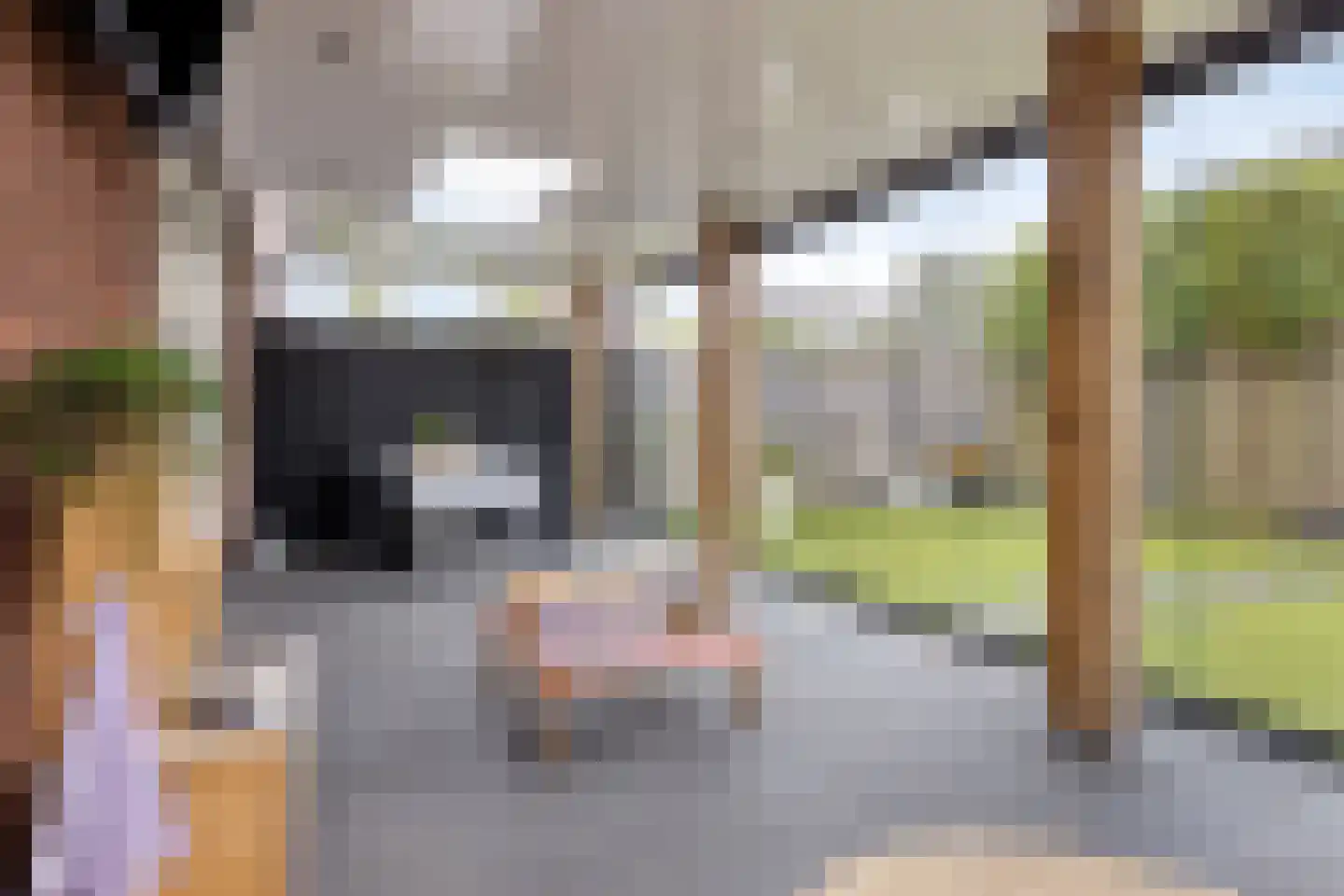 Ekstershoef 15 Schaijk thumbnail 44