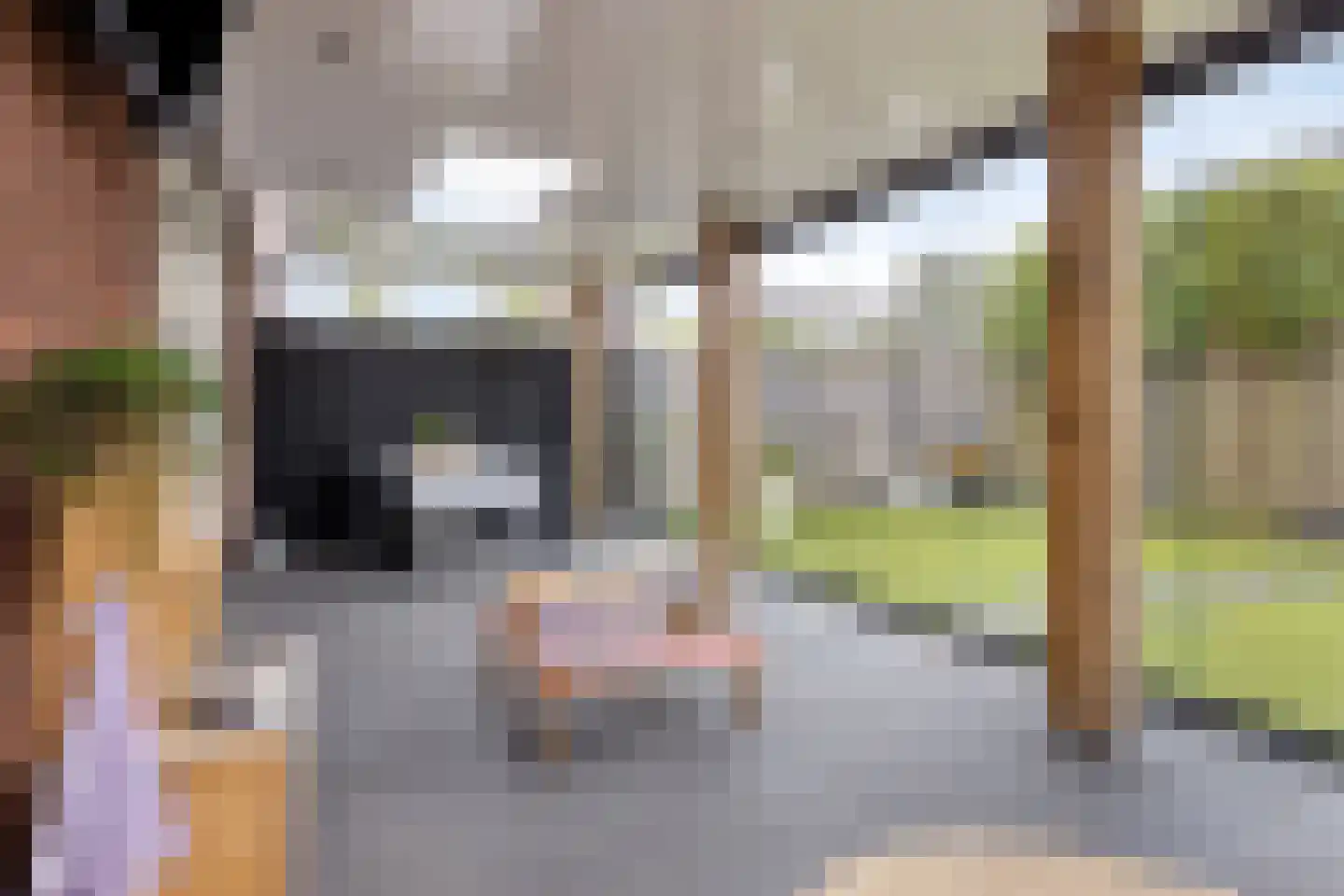Ekstershoef 15 Schaijk thumbnail 5