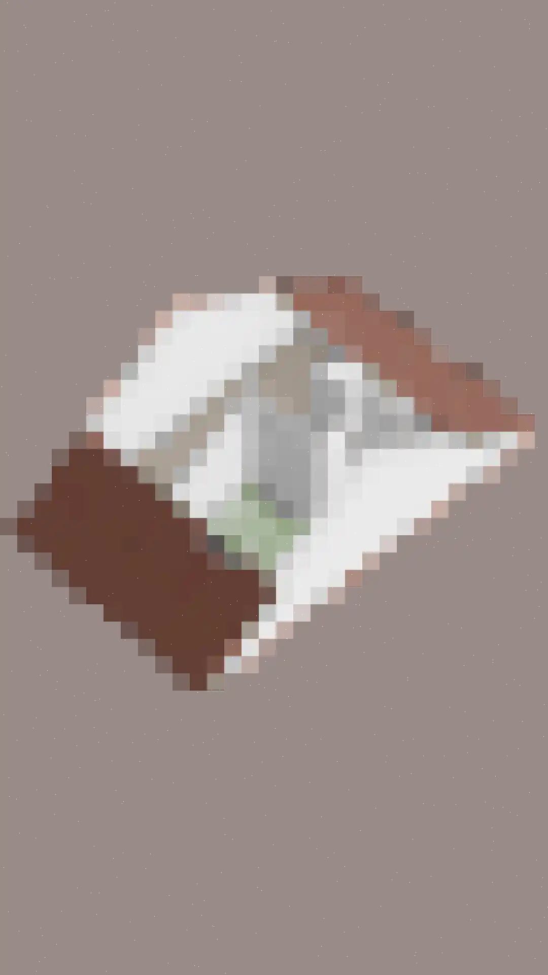 Ekstershoef 15 Schaijk thumbnail 65