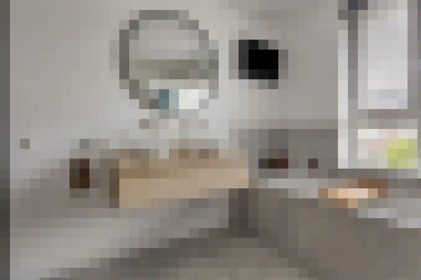 Ekstershoef 15 Schaijk thumbnail 7
