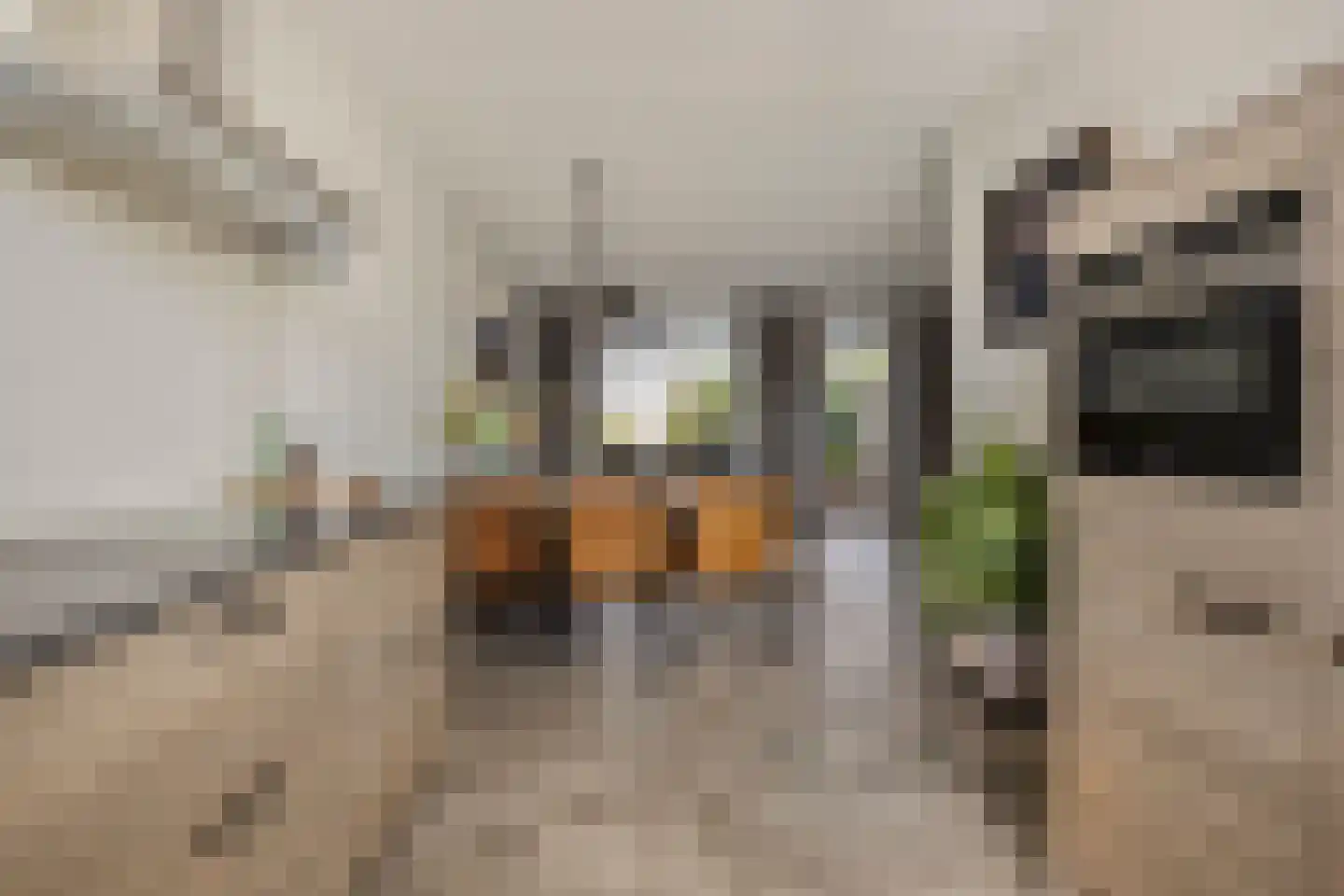 Ekstershoef 16 Schaijk thumbnail 16