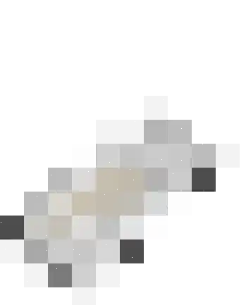 Ekstershoef 16 Schaijk thumbnail 39