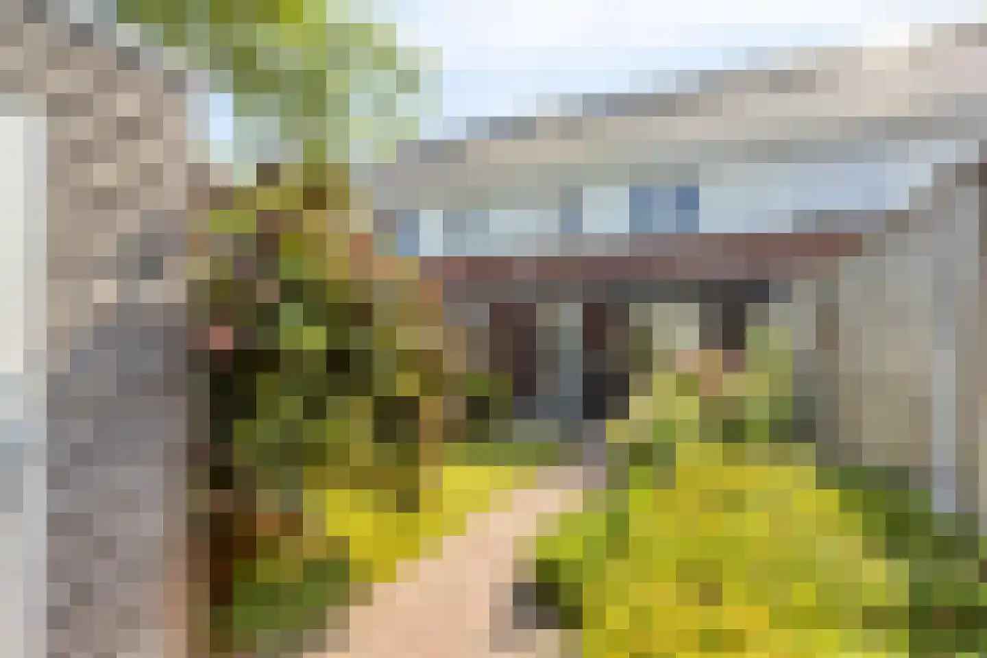 Ekstershoef 16 Schaijk thumbnail 6