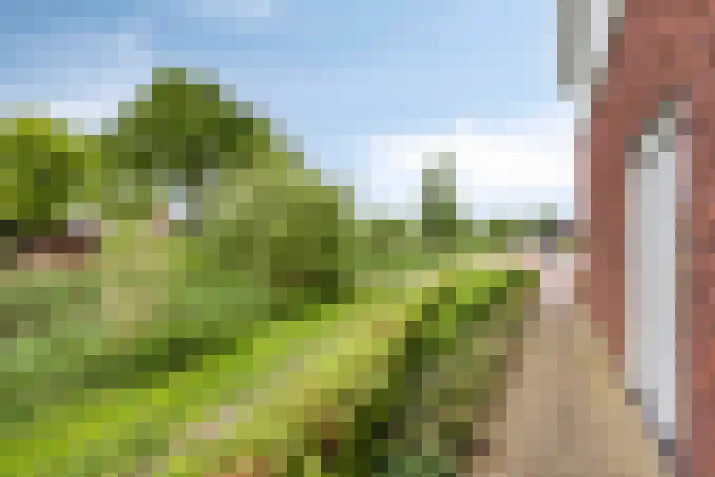 Ekstershoef 22 Schaijk thumbnail 31