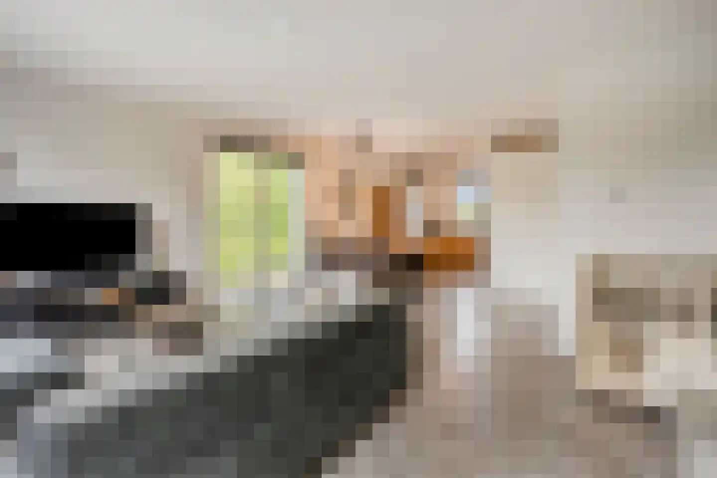 Ekstershoef 22 Schaijk thumbnail 9