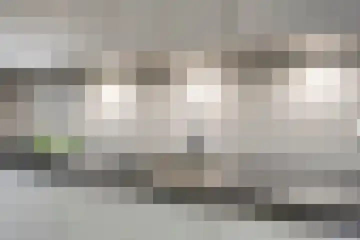 Ekstershoef 3 Schaijk thumbnail 13