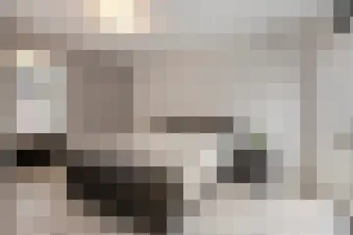 Ekstershoef 3 Schaijk thumbnail 15