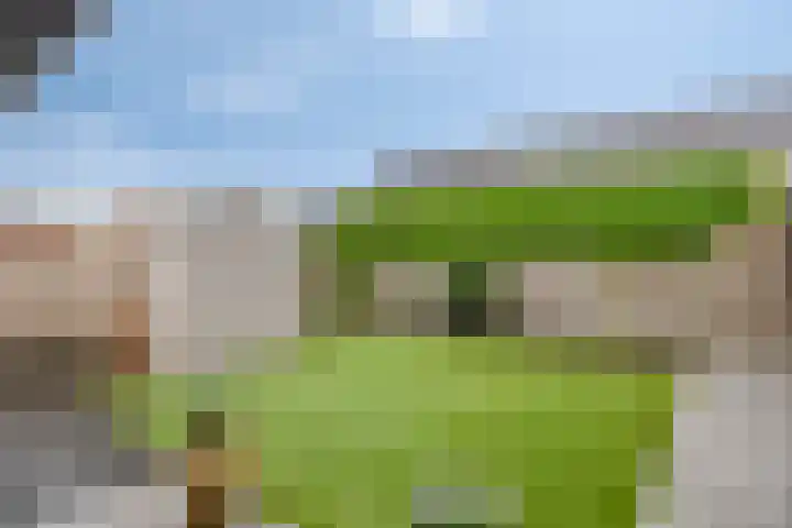 Ekstershoef 3 Schaijk thumbnail 26
