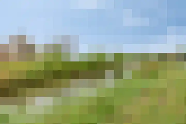 Ekstershoef 3 Schaijk thumbnail 27