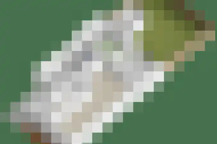 Ekstershoef 3 Schaijk thumbnail 30
