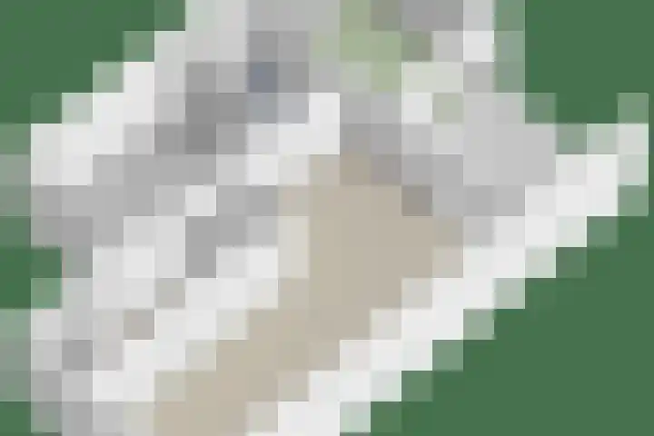 Ekstershoef 3 Schaijk thumbnail 32