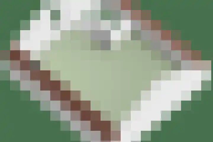 Ekstershoef 3 Schaijk thumbnail 34