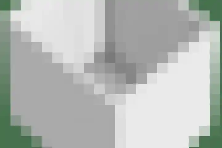 Ekstershoef 3 Schaijk thumbnail 36