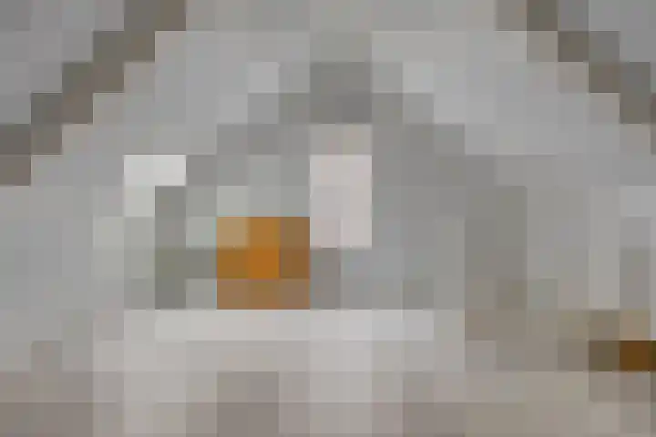 Ekstershoef 3 Schaijk thumbnail 4