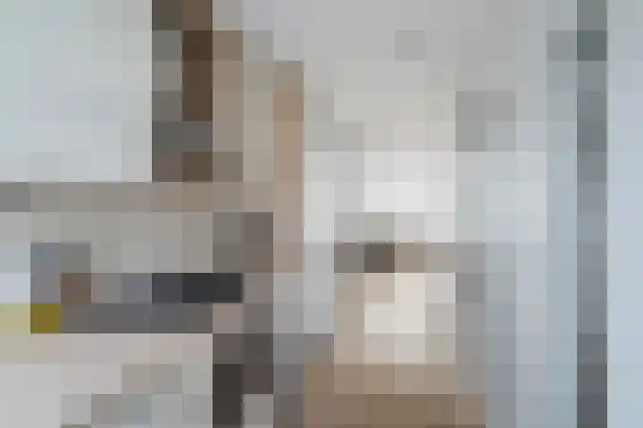 Eksterstraat 1 Alphen aan den Rijn thumbnail 32
