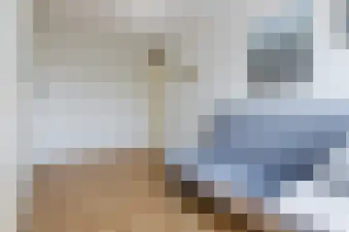 Eksterstraat 1 Schagen thumbnail 25