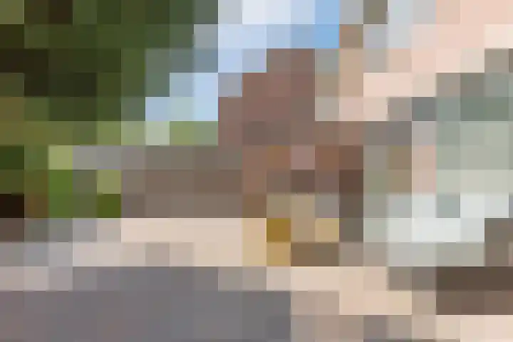 Eksterstraat 1 Schagen thumbnail 43