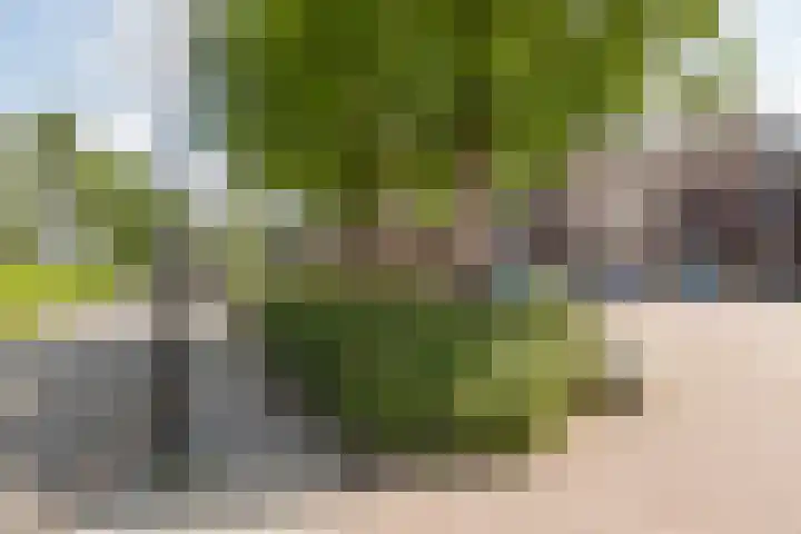 Eksterstraat 1 Schagen thumbnail 50