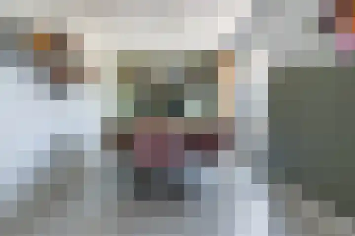Eksterstraat 1 Schagen thumbnail 9