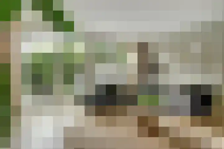 Eksterstraat 119 Schagen thumbnail 5