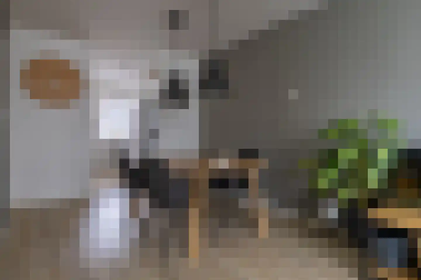 Eksterstraat 12 Alphen aan den Rijn thumbnail 5