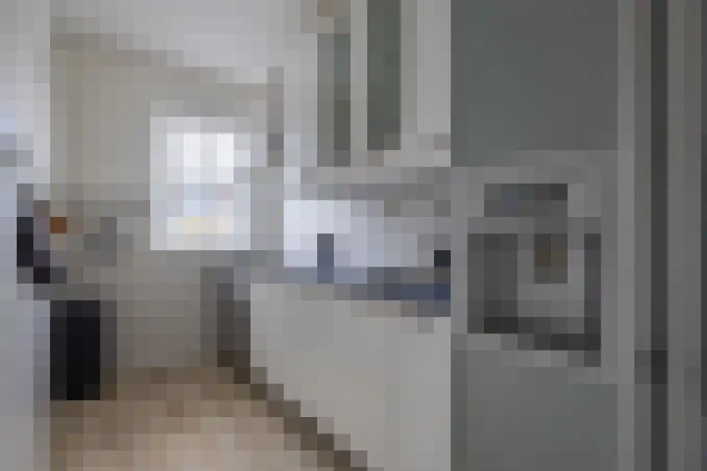 Eksterstraat 12 Alphen aan den Rijn thumbnail 6