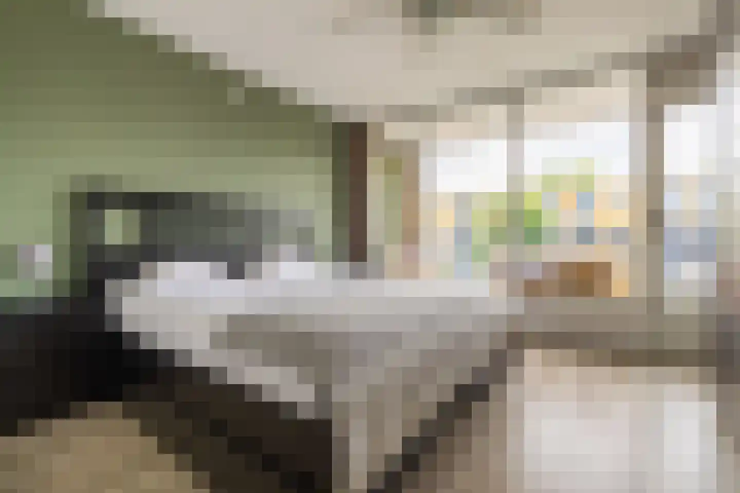 Eksterstraat 12 Alphen aan den Rijn thumbnail 9