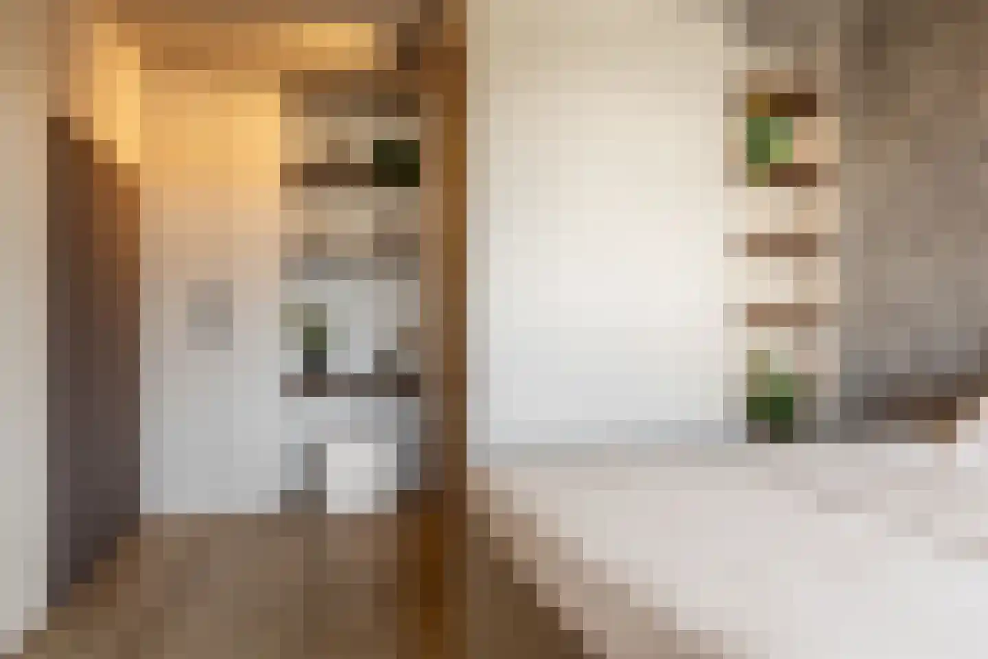Eksterstraat 12 Schoonhoven thumbnail 30