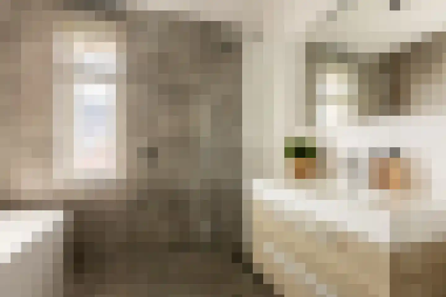 Eksterstraat 12 Schoonhoven thumbnail 35