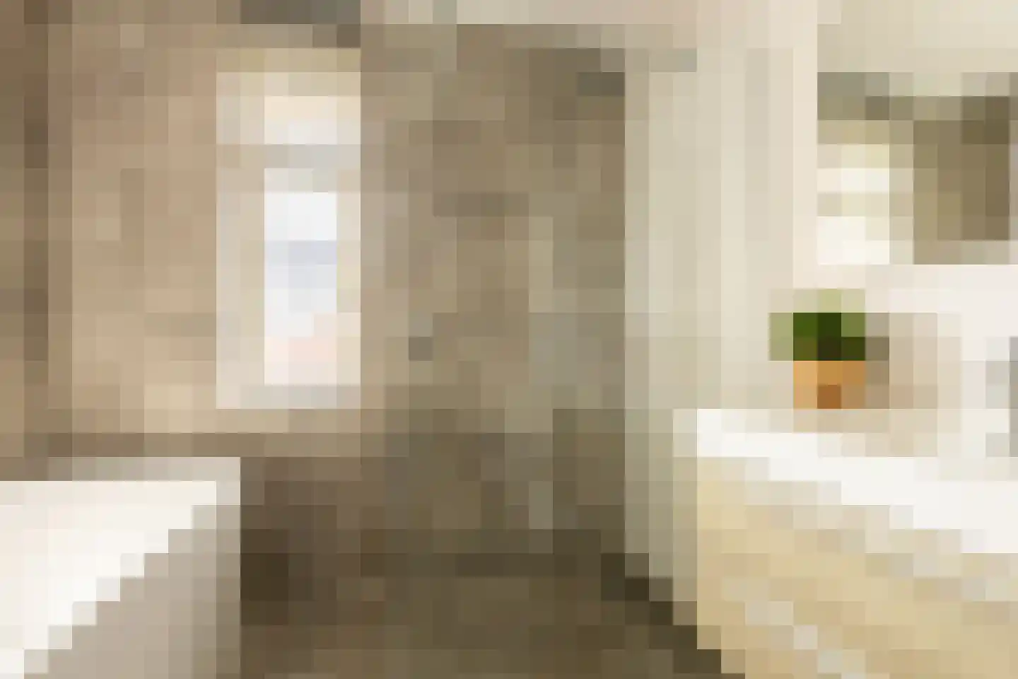 Eksterstraat 12 Schoonhoven thumbnail 36