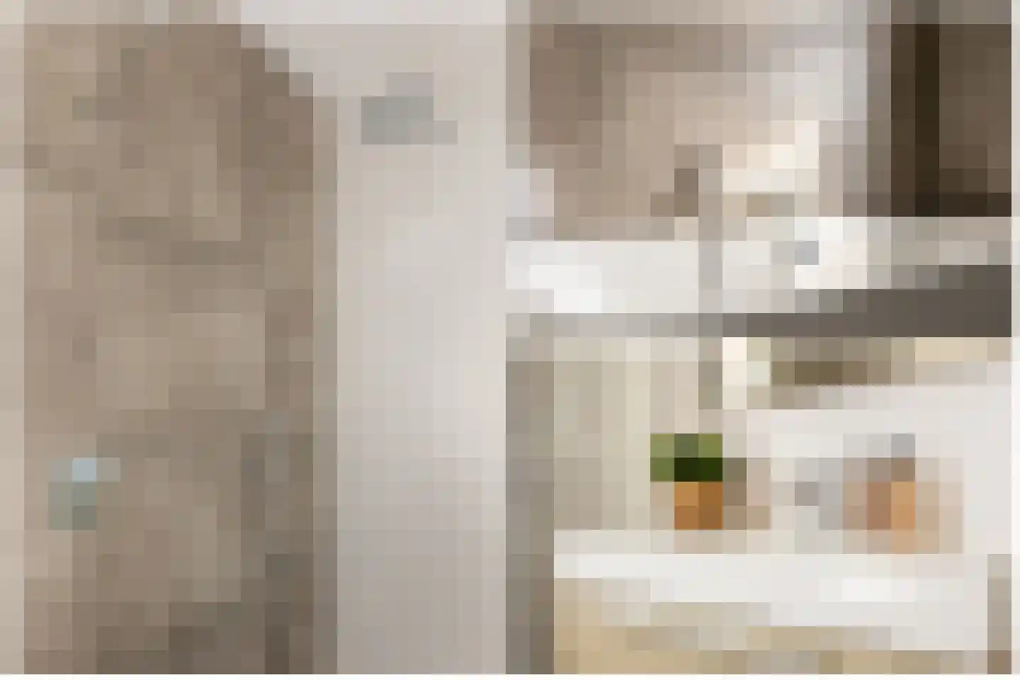 Eksterstraat 12 Schoonhoven thumbnail 37