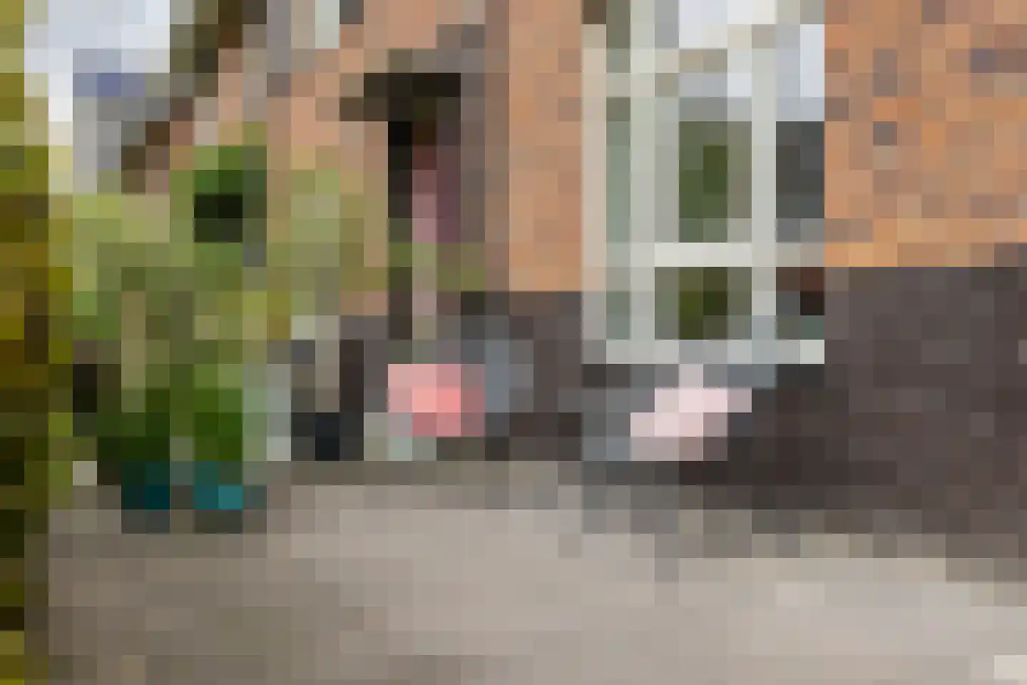 Eksterstraat 12 Schoonhoven thumbnail 63