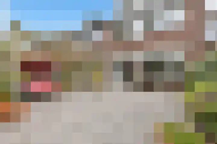 Eksterstraat 121 Schagen thumbnail 26