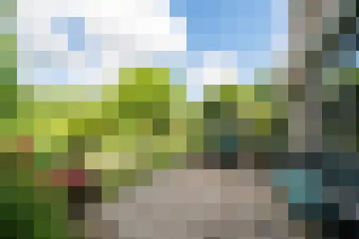 Eksterstraat 127 Schagen thumbnail 29