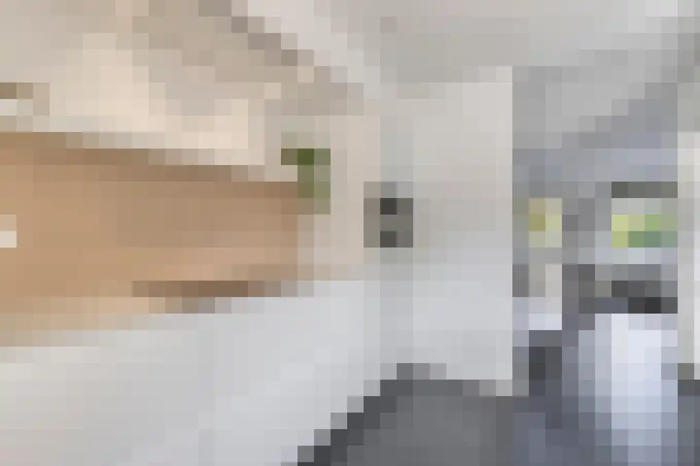 Eksterstraat 130 Schagen thumbnail 8