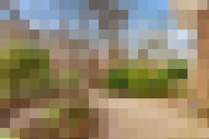 Eksterstraat 16 Badhoevedorp thumbnail 8