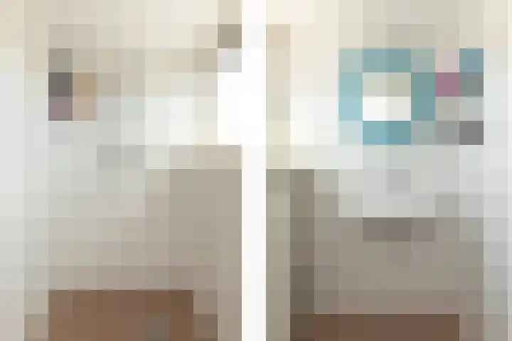 Eksterstraat 18 Hilversum thumbnail 19