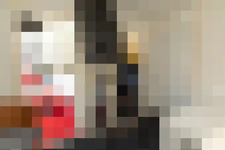 Eksterstraat 18 Hilversum thumbnail 20