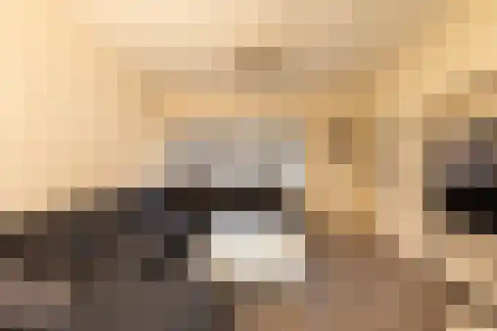 Eksterstraat 18 Hilversum thumbnail 6
