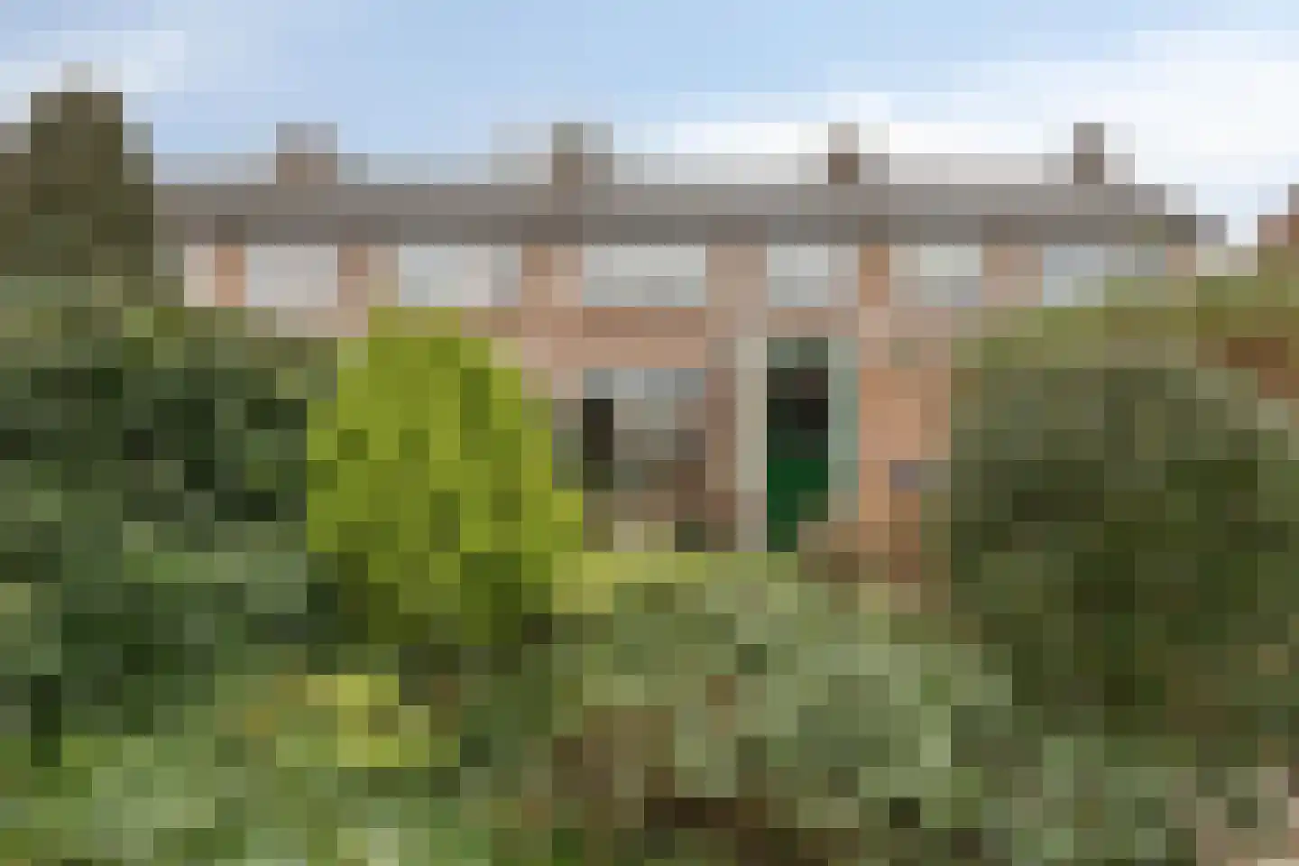 Eksterstraat 19 Zaltbommel thumbnail 26