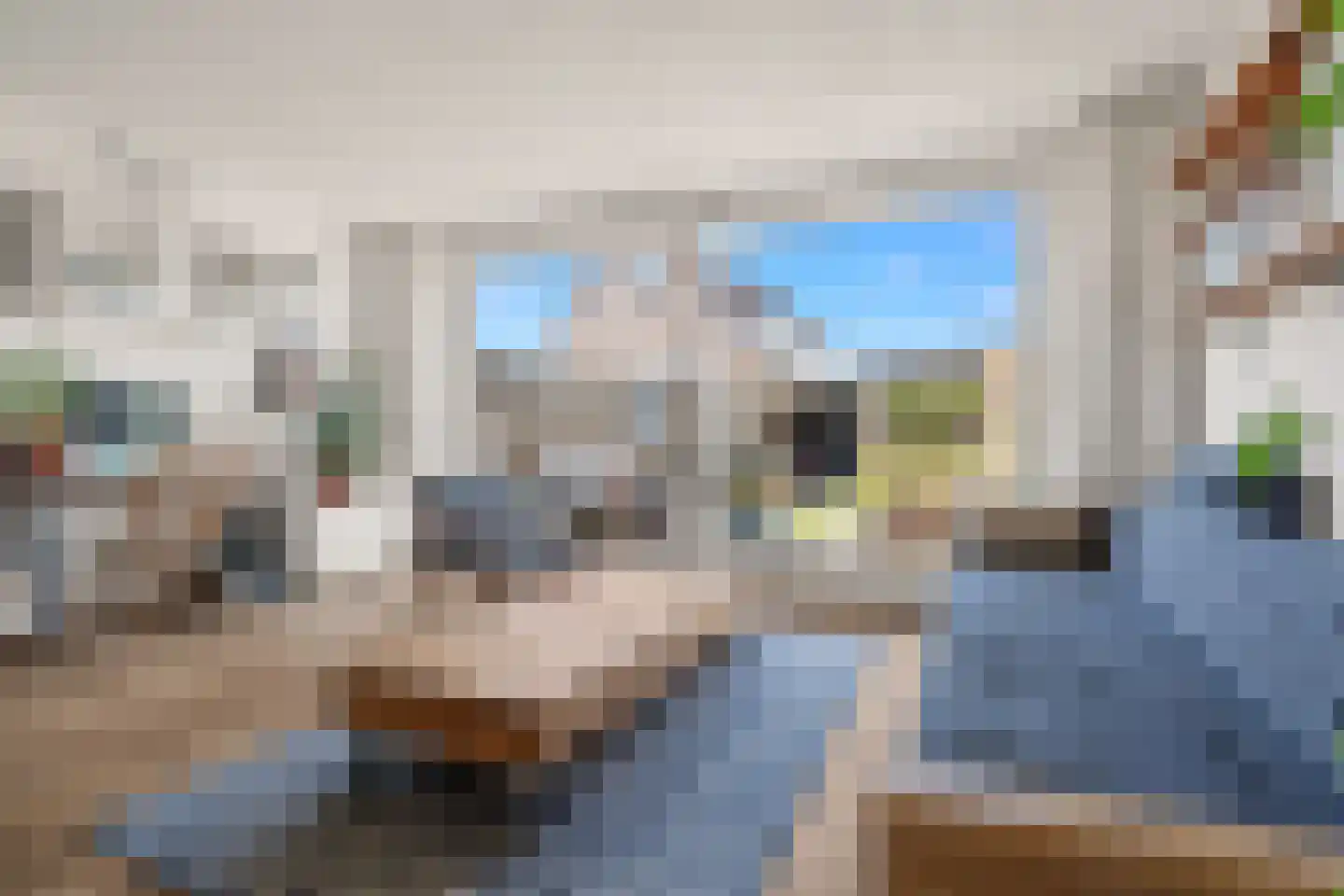Eksterstraat 2 Benschop thumbnail 13