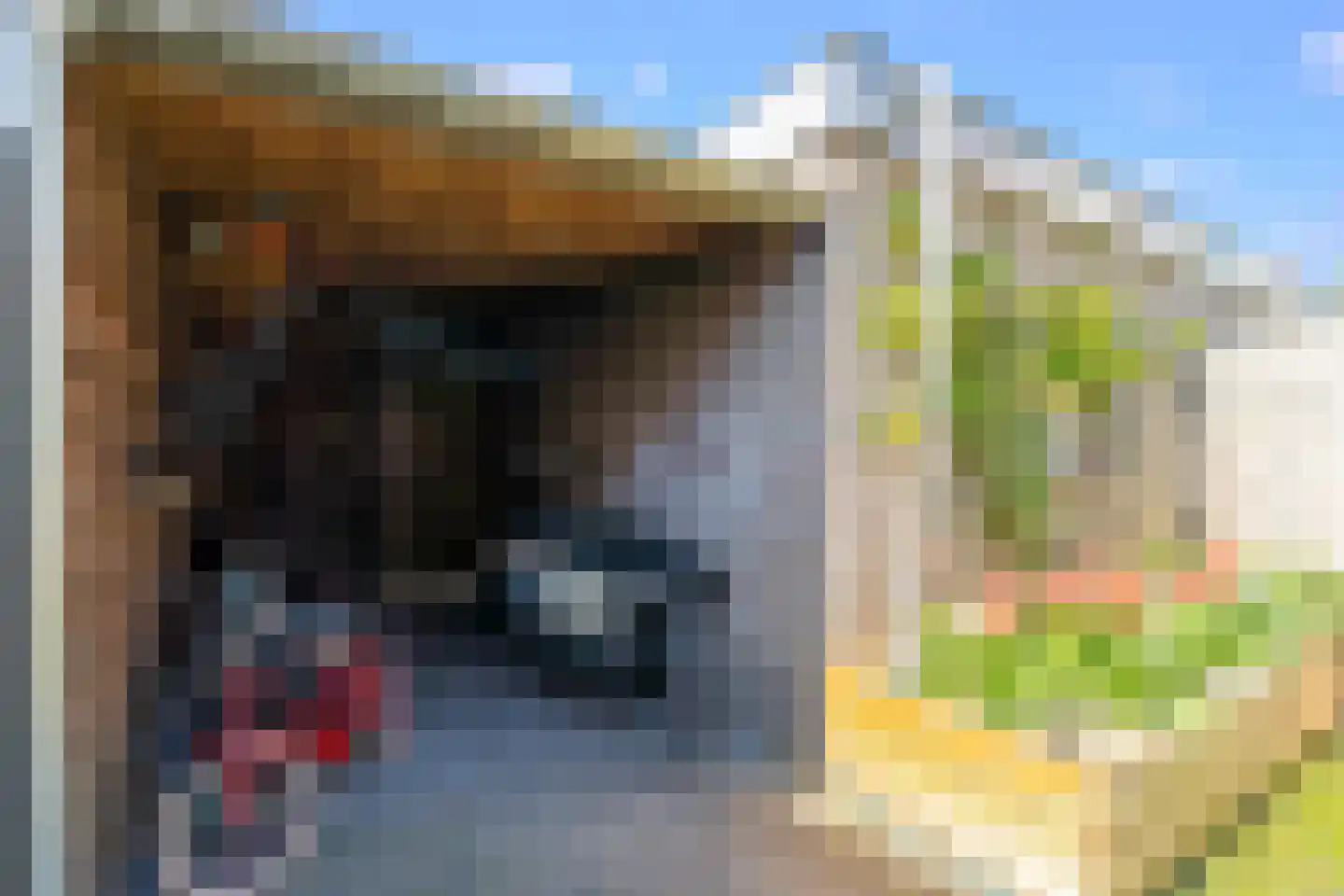 Eksterstraat 2 Benschop thumbnail 28